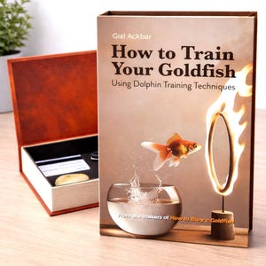 Cómo entrenar a tu pez dorado: Libros de mesa, divertidos libros huecos para guardar y guardar.