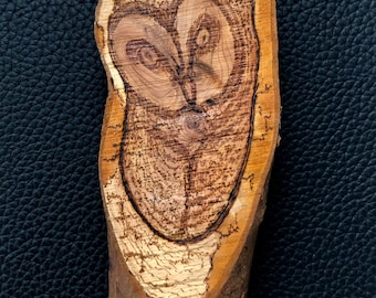 Imagem de coruja queimada em madeira desenhada à mão em madeira de origem local de Argyll, Escócia