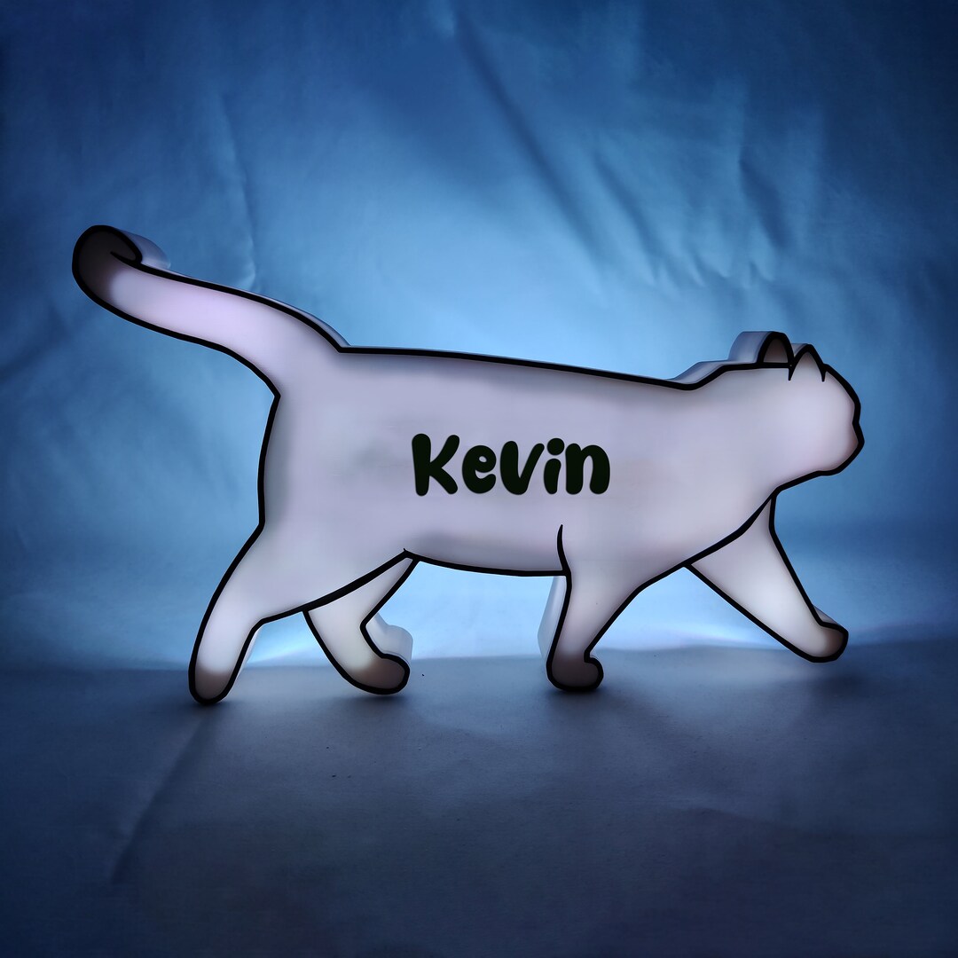 Custom Cat Sign Illuminated Personalized Large Home Decor Etsy