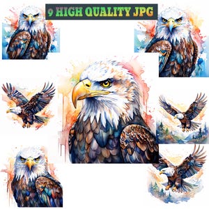 9 Bald Eagle Watercolor Clipart Bundle, Patriotic American eagle, High Resolution JPG Birds Graphics, Instant Download