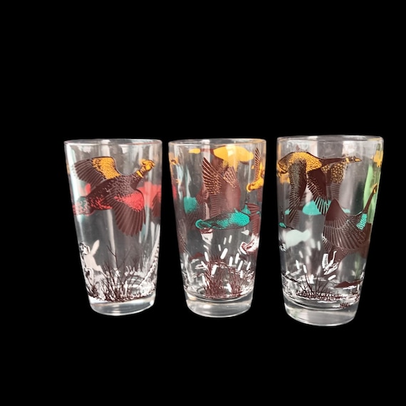 Vintage Wildlife Drinking Glasses: 1970s Mid Century Modern Tumblers, Set  of 3