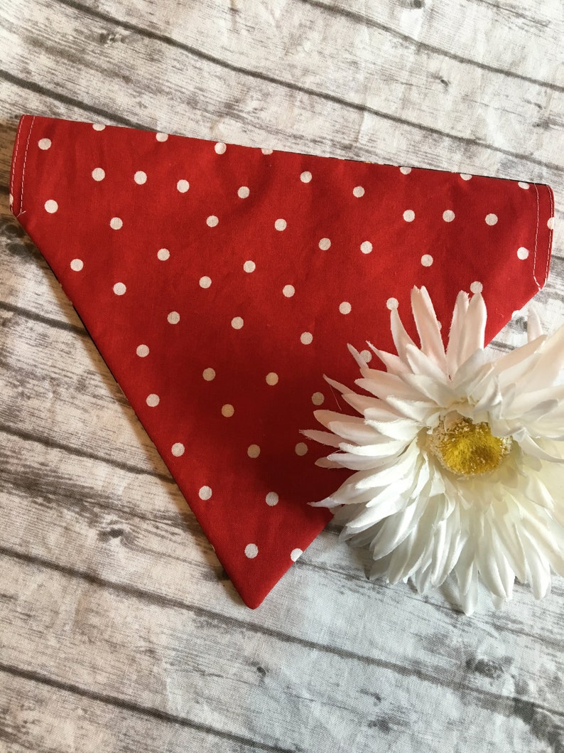 Red and Black Pirate REVERSIBLE Over the Collar Dog Bandana Dog Bandana