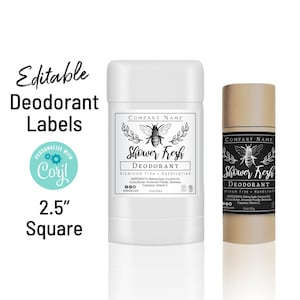 Modèle d'étiquette de déodorant abeille propre et simple, tube de lotion, étiquette de produit carrée de 2,5 pouces. Téléchargez et imprimez. Emballage de déodorant en tube kraft.