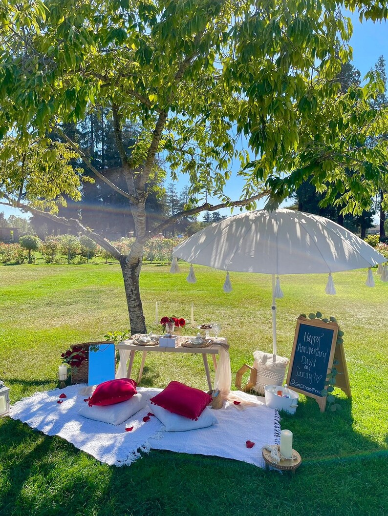 Pu&ograve; includere: Una romantica ambientazione da picnic sotto un albero con un ombrello bianco, un tavolo di legno con fiori rossi, una coperta bianca e un cartello di ardesia che dice "Buon anniversario David & Sandy".