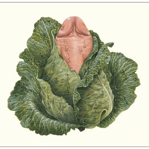 Cabbage Dick note card image 1
