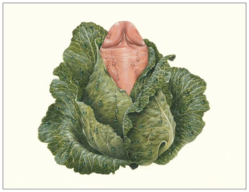 Cabbage Dick note card image 1