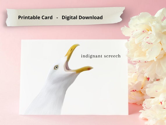 Funny Printable Cards Printable Stationery Blank Cards - Etsy