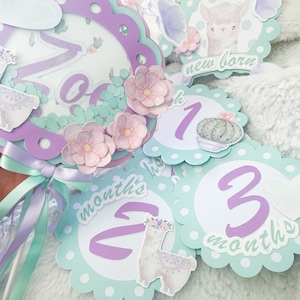 Monthly cards/ milestone cards/ baby’s 12 months / baby photos cards / primeros 12 meses / cartas para fotos de bebe/ baby lama / baby girls