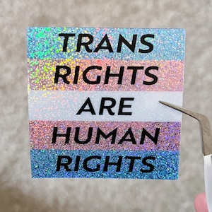 Withered Freddy says trans rights Sticker for Sale by jacklegobrr