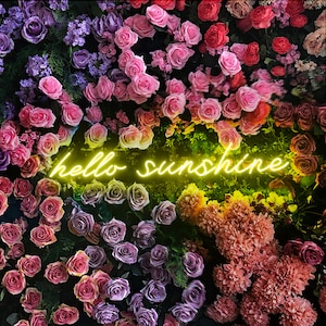 hello sunshine Neon Sign Custom LED Acrylic Neon Sign Lamp Art Room Wall Decor Neon Led Light Bedroom Gift Idea Neon Light up Sign