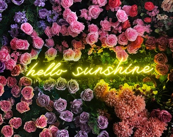 Hello Sunshine Neon Sign: Custom LED Wall Decor