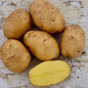 May include: A collection of fresh, unpeeled potatoes, with a light brown skin and a few small blemishes. One potato is cut in half, revealing a pale yellow interior. The potatoes are arranged on a distressed, white-painted wooden surface.