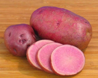 All Red seed potatoes - For planting 2026 - Red flesh, AKA Cranberry - Organic (Solanum tuberosum) - SEE RESTRICTIONS
