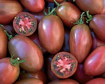 Ukrainian Purple heirloom tomato 50 seeds - AKA Russian Purple - Organically grown and non-GMO (Solanum lycospericum)