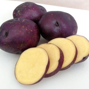 May include: Close-up of several purple potatoes, some whole and some sliced. The whole potatoes have a deep purple skin with a few brown spots. The sliced potatoes reveal a pale yellow interior with a thin purple edge.