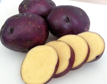 Harvest Moon seed potatoes - For planting 2026 - Organic (Solanum tuberosum) - SEE RESTRICTIONS
