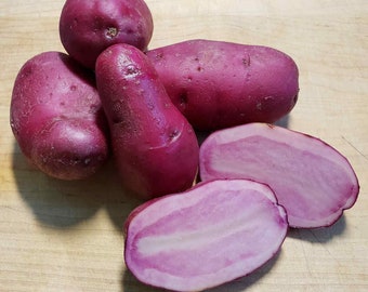 Terra Rosa seed potatoes (red flesh) - For planting 2026 - Organic (Solanum tuberosum) - Restrictions apply