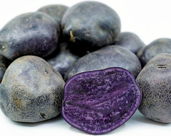 Wild Purple seed potatoes (purple flesh) - For planting 2026 - Organic (Solanum tuberosum) - Restrictions apply