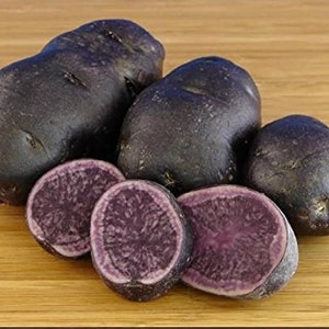 May include: Four whole purple potatoes and three potato halves with a purple flesh. The potatoes are on a wooden surface.