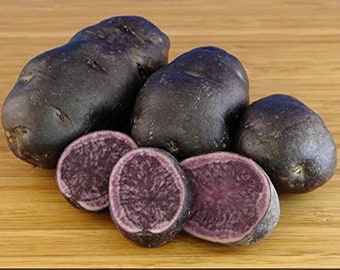 All Blue seed potatoes - 2023 crop - Organic (Solanum tuberosum) - SEE RESTRICTIONS