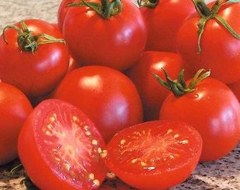 Glacier tomato 25+ seeds - Extra early! - Organically grown and non-GMO (Solanum lycospericum)