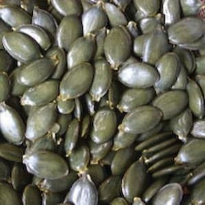 May include: Close-up of a pile of green pumpkin seeds. The seeds are oval-shaped and have a smooth texture. The color of the seeds varies from light to dark green. The seeds are tightly packed together, filling the frame.