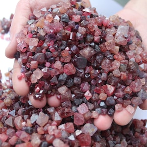 Op de afbeelding: Een handvol ruwe, ongeslepen edelstenen in tinten rood, roze en paars. De kristallen zijn klein, met zichtbare facetten en variërende transparantie. De edelstenen worden in open handen gehouden, wat hun natuurlijke schoonheid toont.