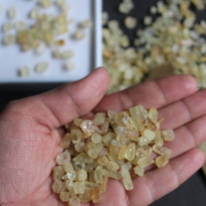 500 Carat Natural Yellow Beryl Rough Lot – Raw Golden Aquamarine Gemstone
