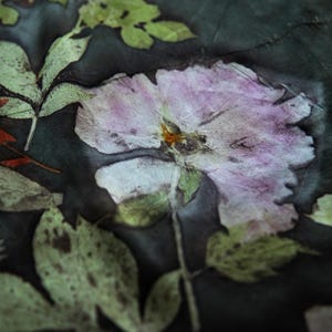 May include: A dark charcoal fabric featuring a botanical print with a large, pale pink flower at the center. The design includes detailed green leaves and stems scattered across the surface, creating a natural, pressed-flower appearance.
