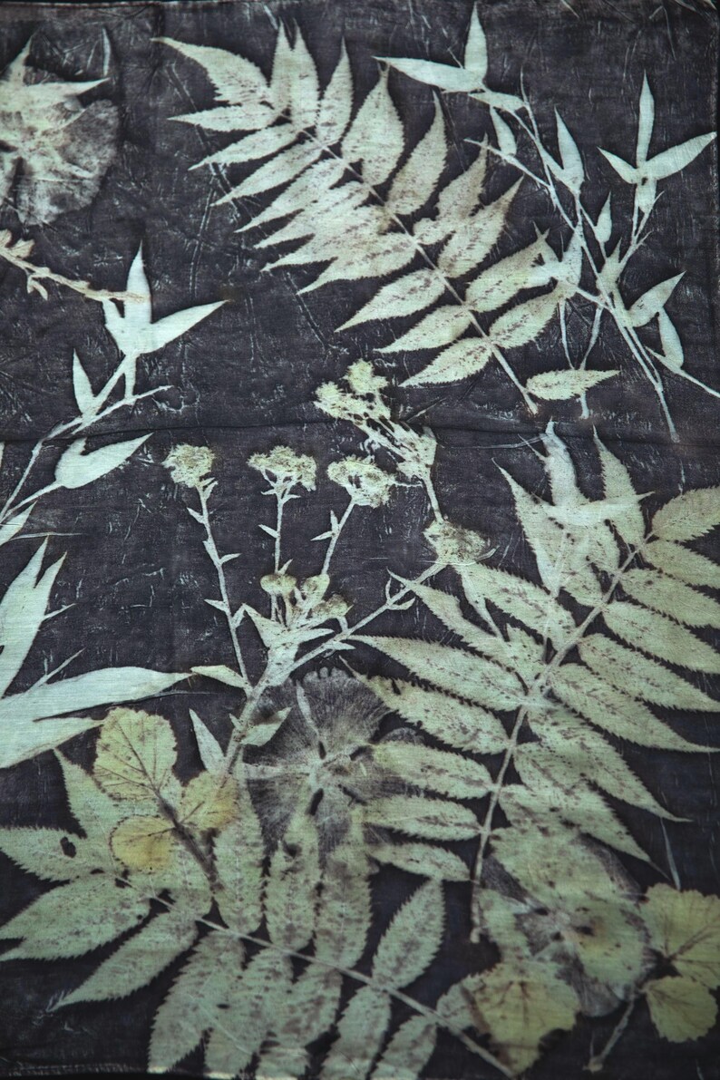 May include: A dark charcoal fabric featuring a botanical print with light cream-colored silhouettes of various ferns, leaves, and small clusters of wildflowers. The pattern displays intricate vein details on the foliage against a textured background.