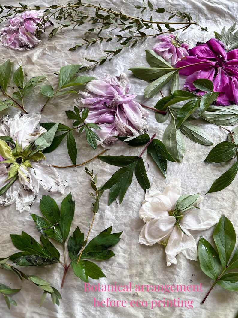 May include: A collection of fresh peony flowers in shades of white, light purple, and deep magenta, interspersed with green leaves and thin branches, arranged on a light-colored fabric surface with the text Botanical arrangement before eco printing.