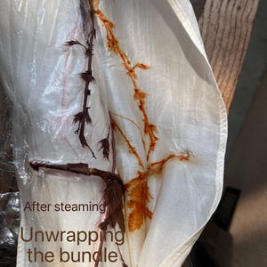 May include: A white fabric bundle being unwrapped to reveal botanical imprints. Dark brown plant stems are visible against the fabric, which features orange and rust-colored leaf patterns transferred during the steaming process. Text reads: After steaming Unwrapping the bundle.