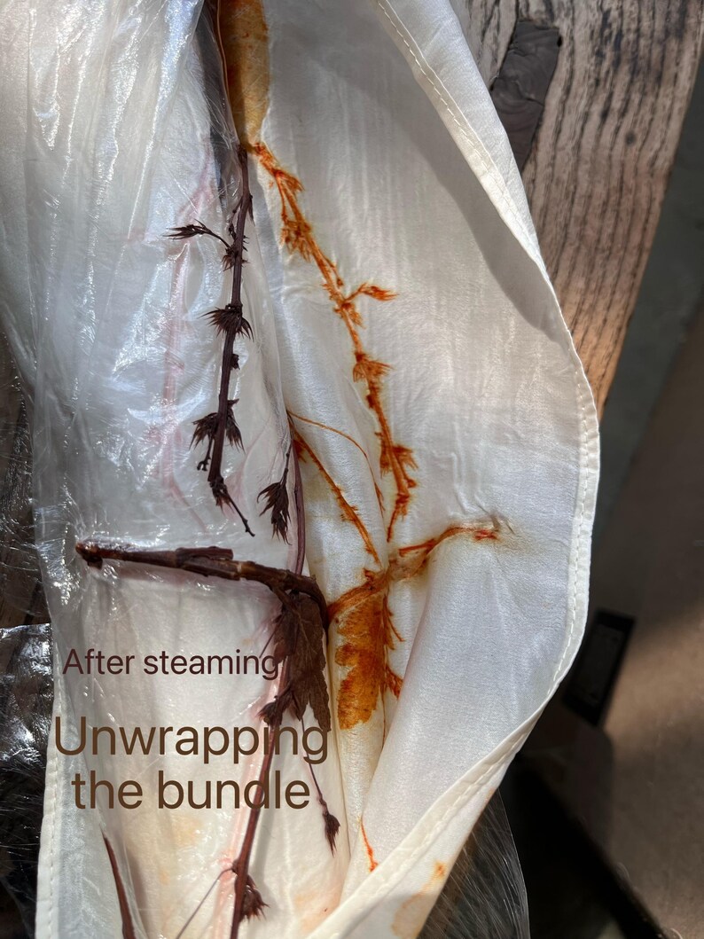 May include: A white fabric bundle being unwrapped to reveal botanical imprints. Dark brown plant stems are visible against the fabric, which features orange and rust-colored leaf patterns transferred during the steaming process. Text reads: After steaming Unwrapping the bundle.