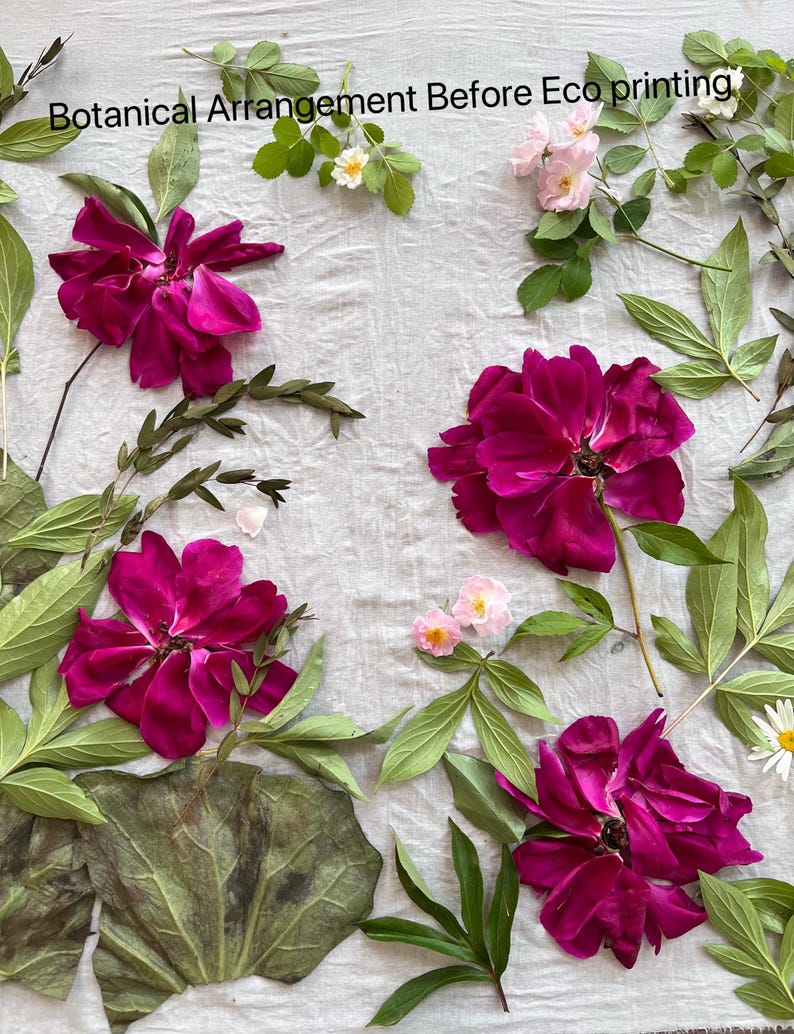 May include: A botanical arrangement before eco printing featuring vibrant magenta flowers, small pale pink blossoms, and various green leaves scattered across a light gray fabric. The text Botanical Arrangement Before Eco printing is visible.