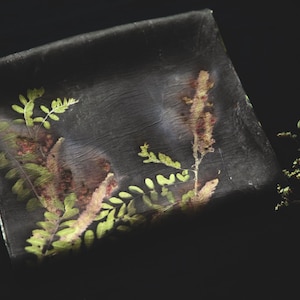 May include: A rectangular black fabric piece featuring botanical imprints of green fern leaves and brown textured plant stems. The surface displays a subtle crinkled texture with organic, earthy patterns distributed across the dark background.
