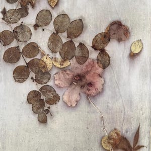 May include: A light-coloured textile featuring a botanical print of pressed brown leaves and a single pale pink flower. The design includes a cluster of small, rounded foliage arranged along a stem, with scattered individual leaves across the surface.