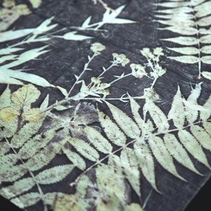 May include: A square textile piece featuring a dark charcoal background with light cream-colored botanical imprints. The fabric displays detailed silhouettes of various fern leaves, small wildflowers, and jagged foliage arranged in a natural pattern.