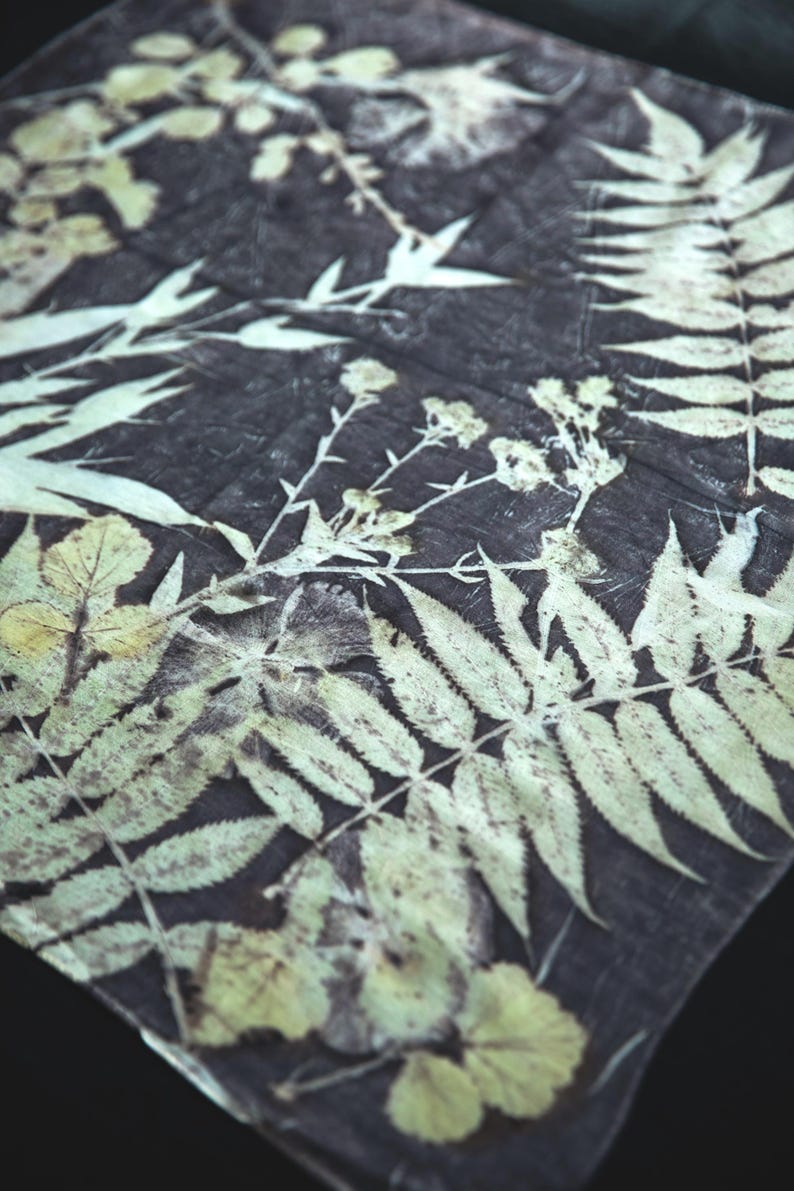 May include: A square textile piece featuring a dark charcoal background with light cream-colored botanical imprints. The fabric displays detailed silhouettes of various fern leaves, small wildflowers, and jagged foliage arranged in a natural pattern.