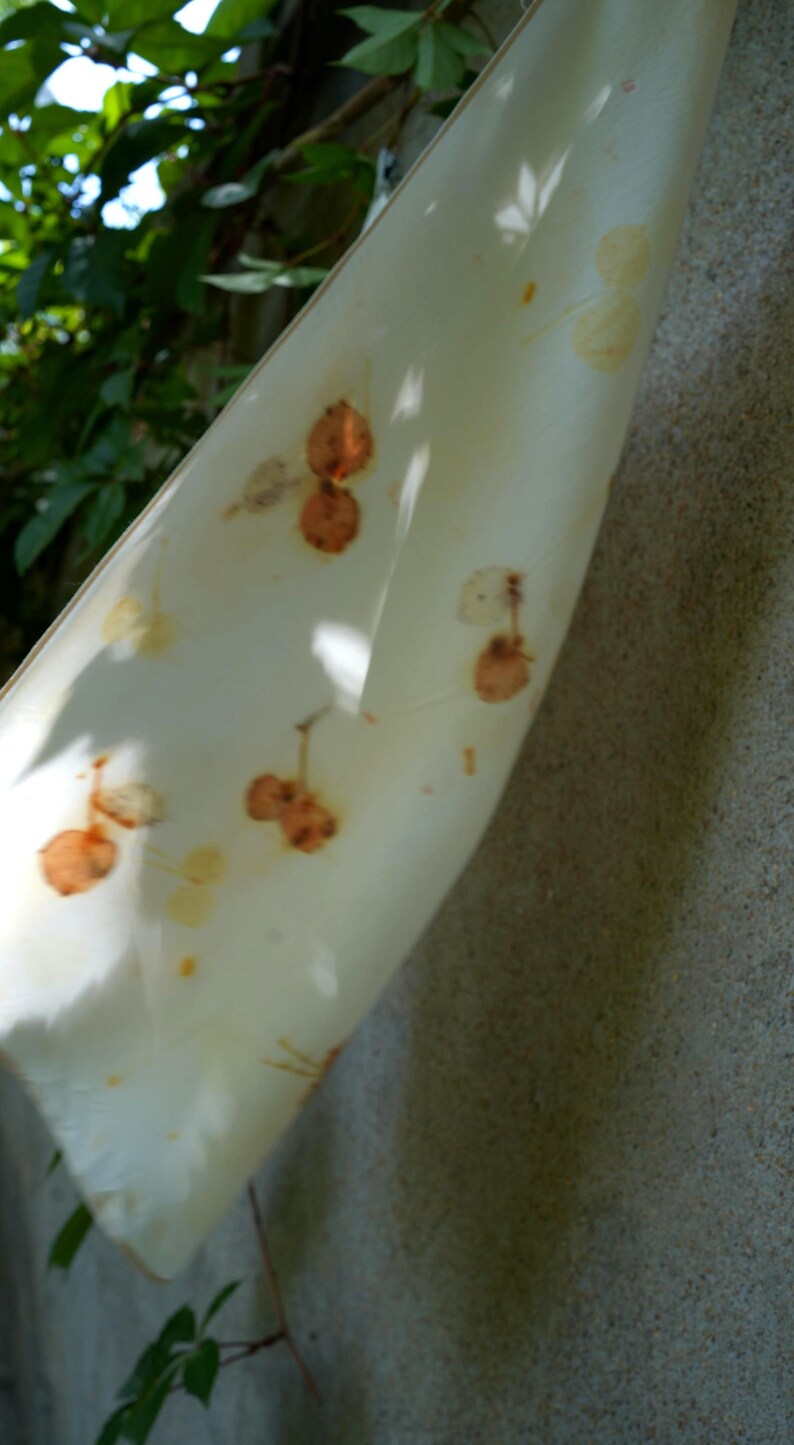 May include: A white fabric scarf featuring a botanical print with scattered, rust-colored circular leaf or seed pod patterns. The material is lightweight and semi-translucent, showing natural folds and soft draping as it hangs vertically.
