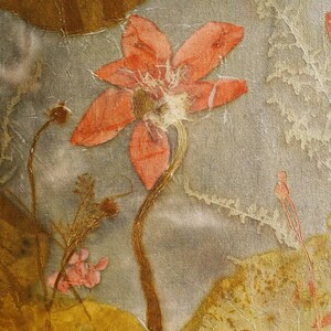 May include: A botanical print on textured paper featuring a central coral-colored flower with a long stem, surrounded by pressed brown lily pads, delicate white fern silhouettes, and small pink blossoms. The text Florich Studio is visible.