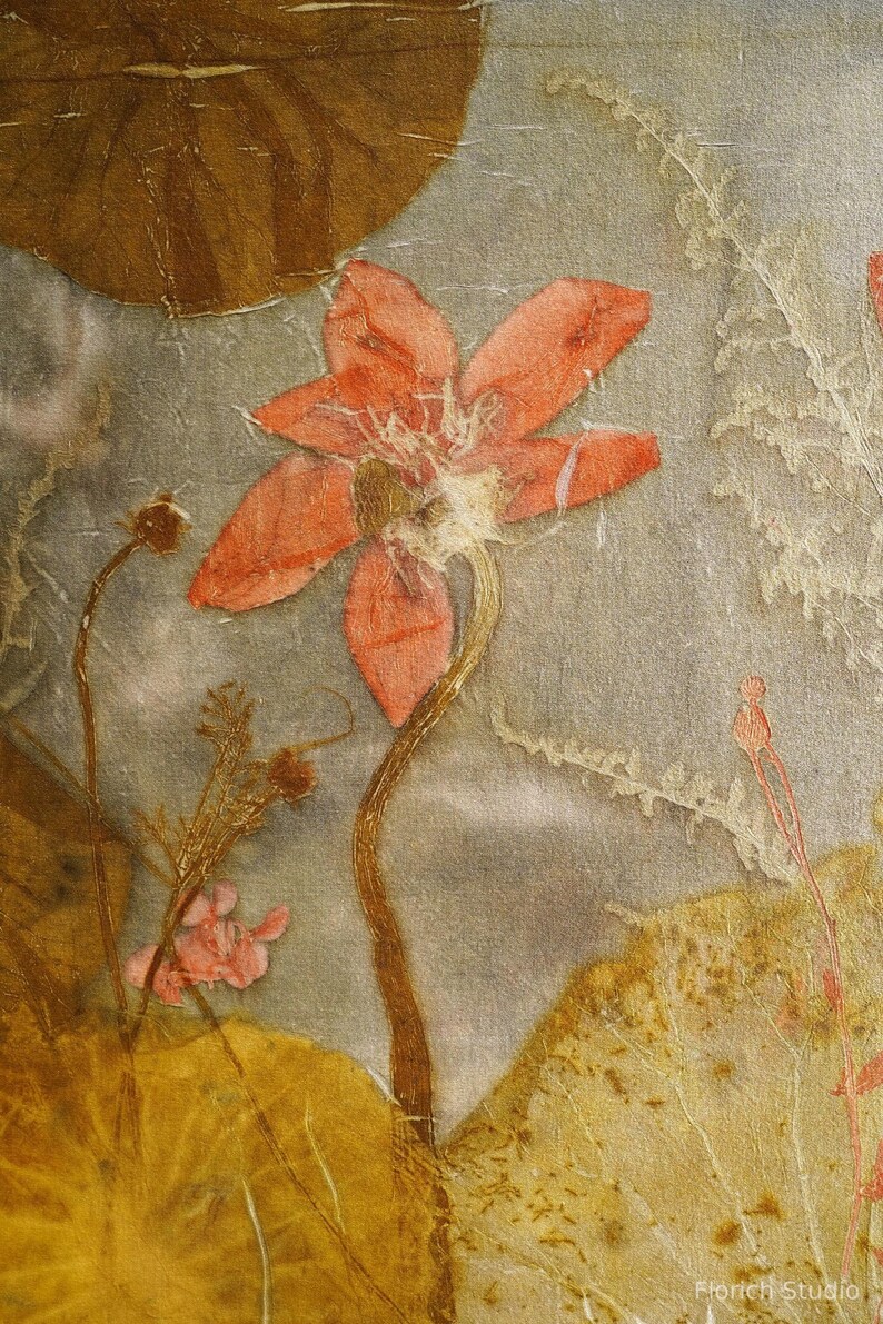 May include: A botanical print on textured paper featuring a central coral-colored flower with a long stem, surrounded by pressed brown lily pads, delicate white fern silhouettes, and small pink blossoms. The text Florich Studio is visible.