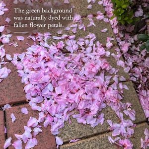 May include: A collection of light pink flower petals scattered across a paved surface of red and gray rectangular stones. The text overlay reads: The green background was naturally dyed with fallen flower petals. Green foliage is visible.
