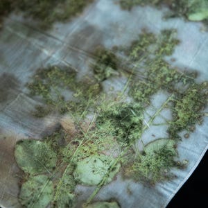 May include: A semi-sheer fabric featuring a botanical print with green leaf and fern silhouettes layered over a pale, muted blue and grey background. The textile displays organic, detailed plant imprints with visible veins and textures.