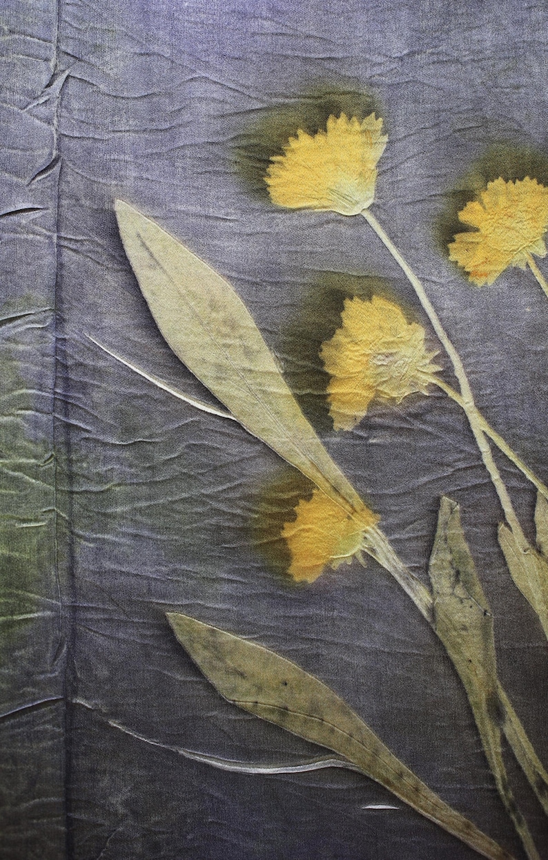 May include: A piece of fabric with a crinkled, dark purple-gray texture featuring botanical prints of yellow flowers and long, slender green leaves. The floral pattern appears as a natural dye transfer, showing organic shapes and soft color gradients.