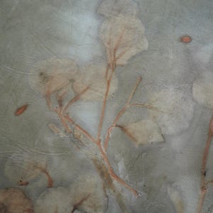 May include: A piece of fabric featuring a botanical print with muted sage green and gray tones. The design displays delicate, light-colored leaf and branch imprints with thin, reddish-brown stems and small, scattered orange-brown petal accents.
