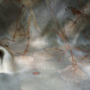 May include: A piece of fabric featuring a botanical print with muted gray and green tones. The surface displays intricate, rust-colored branch and leaf patterns that appear embedded into the material, creating a soft, organic, and textured visual effect.