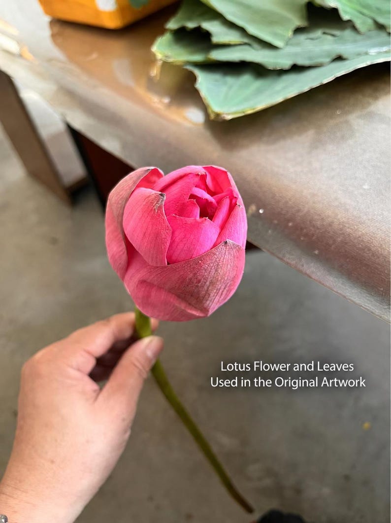 May include: A vibrant pink lotus flower bud with a long green stem, featuring layered petals with subtle texture. The text "Lotus Flower and Leaves Used in the Original Artwork" is printed in white on the right side of the image.