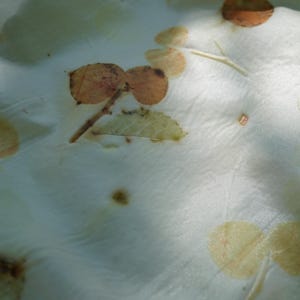 May include: A white fabric featuring a botanical print with scattered brown and pale green leaf imprints. The material has a smooth, slightly reflective surface with visible folds and creases, showcasing organic shapes of various foliage patterns.