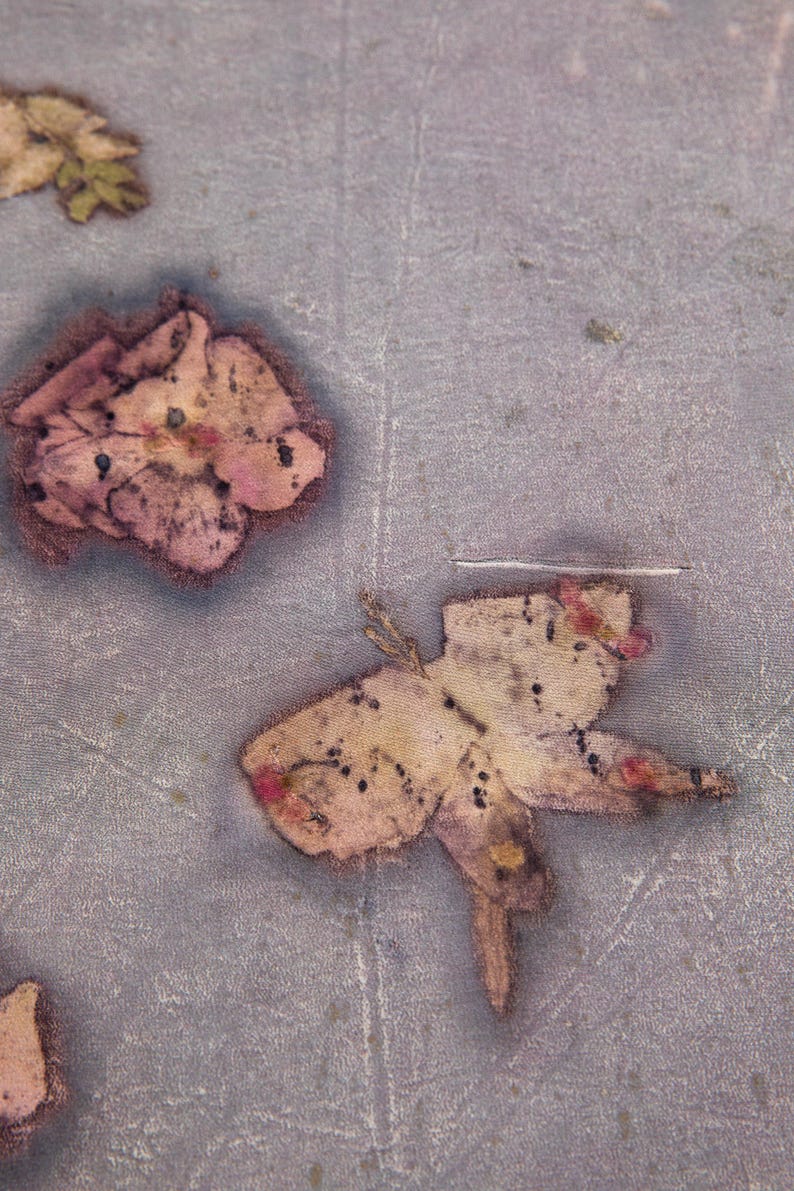 May include: Close-up of a textured, light gray surface with several pressed flowers. The flowers are in shades of pink, beige, and brown, with dark spots and veins visible. The image has a soft, artistic quality.