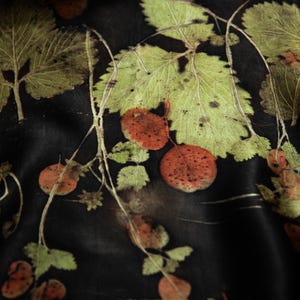 May include: A black fabric featuring a botanical print of green leaves and reddish-brown circular fruit or berries. The design displays a natural arrangement of stems and foliage with visible veins and textures, creating a dark, organic pattern.